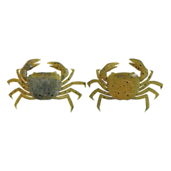 Cranka Strike Pro Enticer Crab