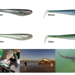 Berkley HD Printed Hollowbelly's