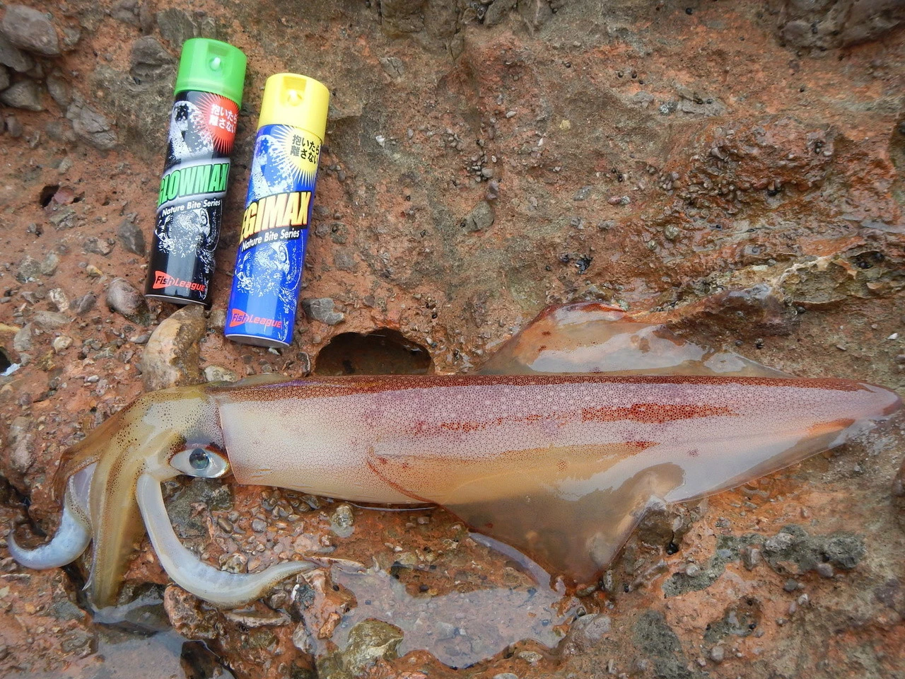 FishLeague Fish League Egimax Squid Fishing Lure Spray