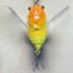 Force Ten Outback Fishing Lure Cicada Red/yellow 40mm 5.7gm Floating