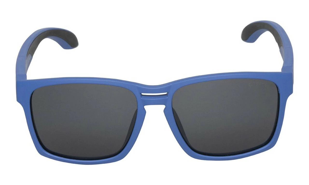 Ugly Fish Polarised Sunglasses PKR737 Blue Frame Smoke Lens - Image 2