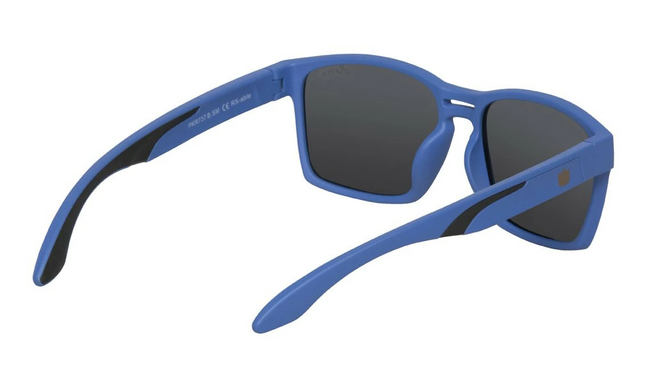 Ugly Fish Polarised Sunglasses PKR737 Blue Frame Smoke Lens - Image 3
