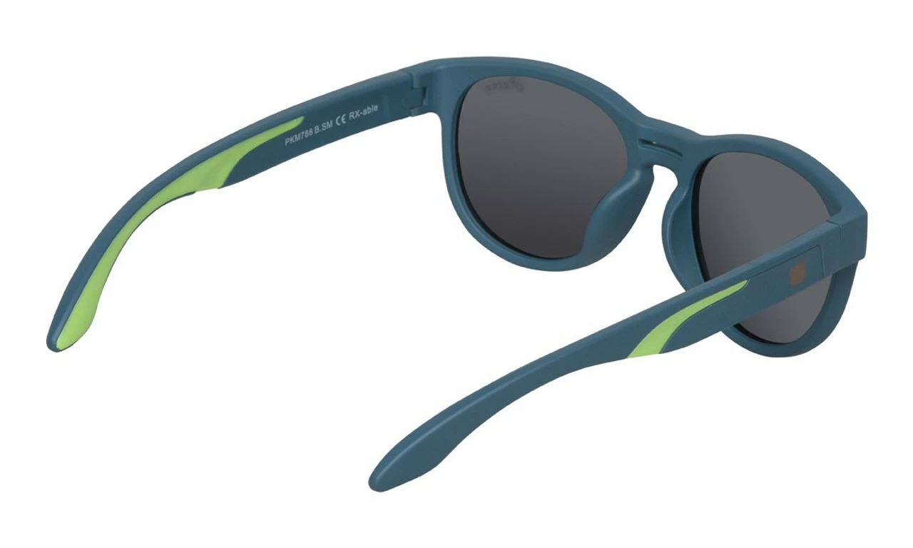 Ugly Fish Polarised Sunglasses PKR788 Blue Frame Smoke Lens - Image 3