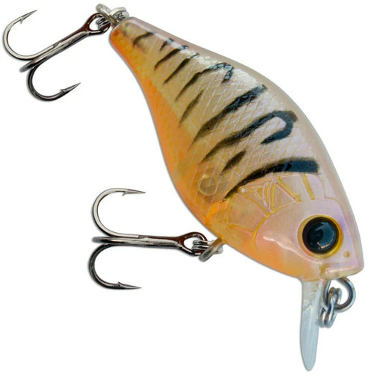 Profishent Cojack 38MM - Image 4